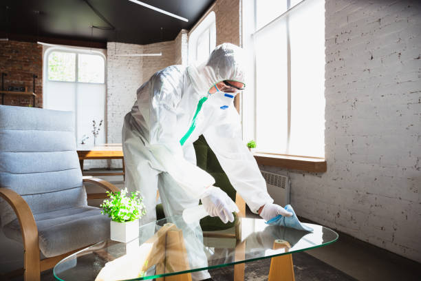 Why You Should Choose Our Mold Remediation Services in Grosse Pointe Farms, MI